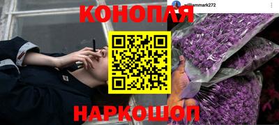 гидра Рузаевка