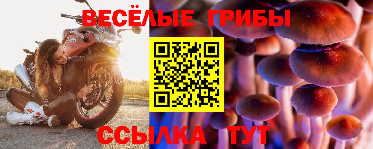 Реутов  Галлюциногенные грибы GOLDEN TEACHER  Вход с VPN  Галлюциногенные грибы ЛСД 